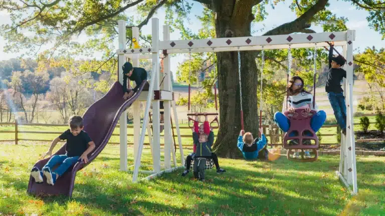 Honey Bear Hangout Swing Set - Image 2