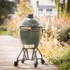 Large Big Green Egg + Standard Nest + Egg Mates Package - Image 3